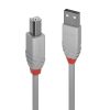Cablu Lindy 1m USB 2.0 Type A to B Ant