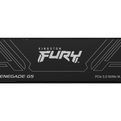 SSD Kingston 1T FURY RENEGADE G5 M.2 2280 NVMe SSD