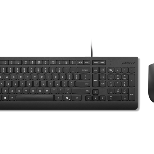 Tastatura LENOVO Essential Wired Combo Black US Euro, USB, Negru