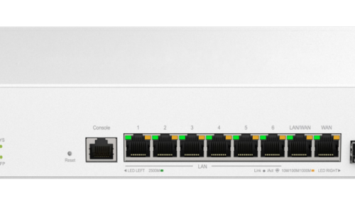 Router de afaceri D-Link DBR-700, 2.5G dual WAN, echilibrare incarcare