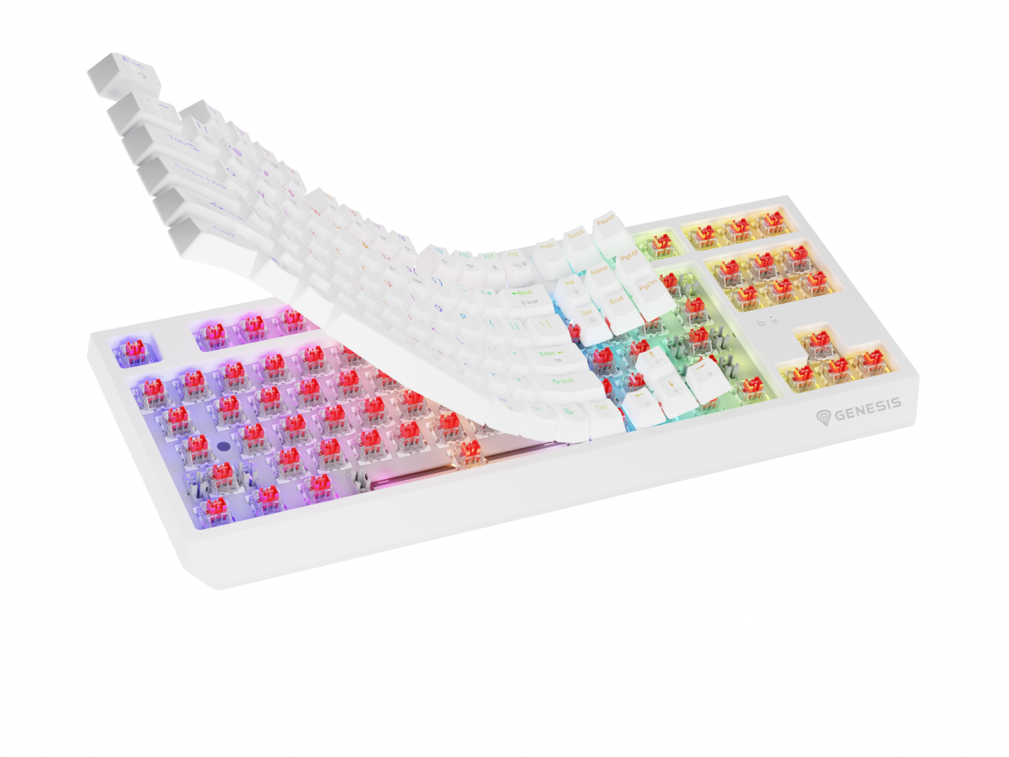 Tastatura Mecanica Gaming Genesis Thor 230 TKL, RGB, Wireless, Alb - imagine 11