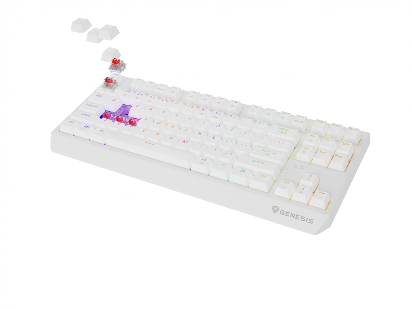 Tastatura Mecanica Gaming Genesis Thor 230 TKL, RGB, Wireless, Alb - imagine 3