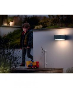 Aplica pentru exterior Philips Hedgehog, 1xE27, max 42W, IP44 ,182x160x91mm, - imagine 4